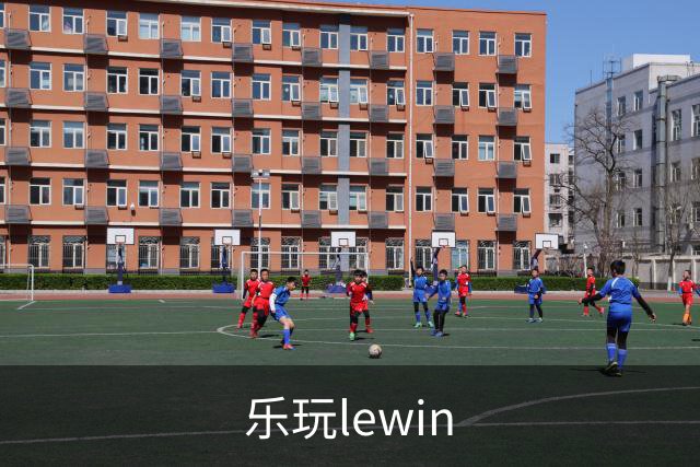 乐玩lewin公司简介展示图